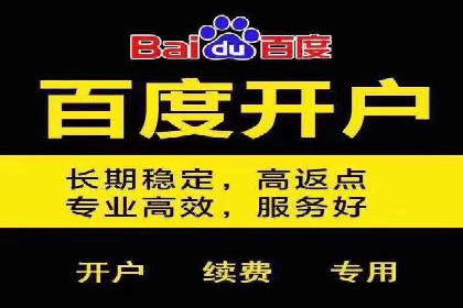 百度推广运营案例解析：如何实现精准营销