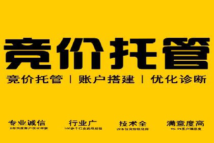 SEM运营推广策略：成功案例解析